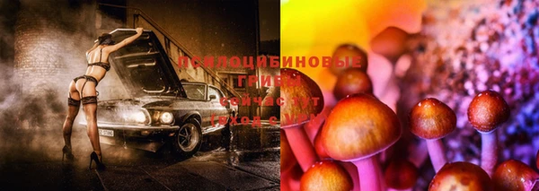 COCAINE Абаза