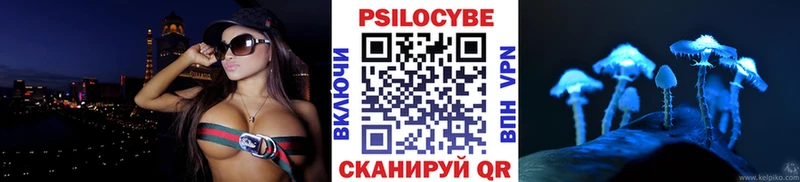 как найти наркотики  Чекалин  Псилоцибиновые грибы прущие грибы 