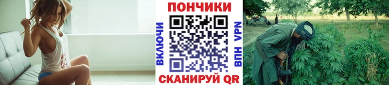 сколько стоит  Чекалин  Бошки Шишки OG Kush 